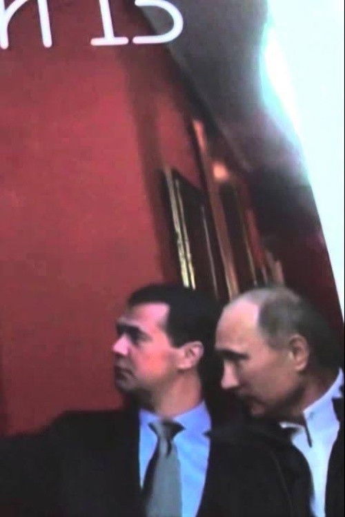 Cuckoo, or Two Troubles (2013) poster