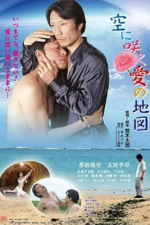 Where Love Blooms in the Sky (2011) poster