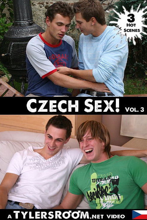 Czech Sex 3 (2011) poster