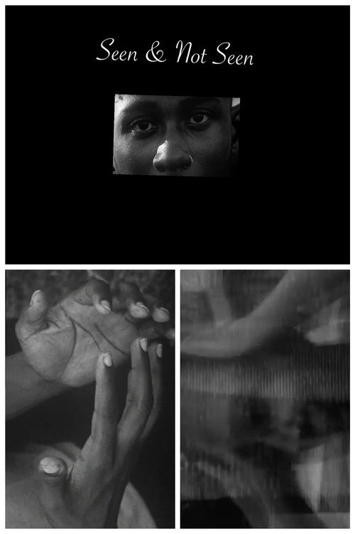 Seen & Not Seen (2020) poster