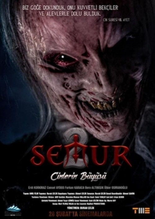 Semur 2: Cinlerin Büyüsü (2020) poster