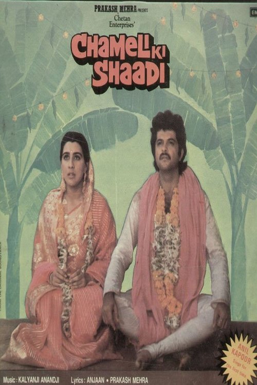 चमेली की शादी (1986) poster