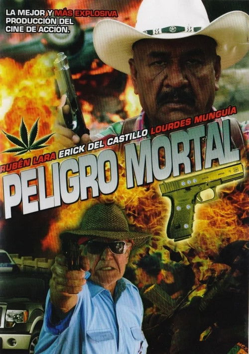 Mortal Danger (2012) poster