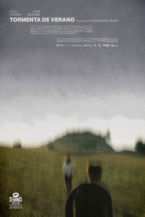 Summer Storm (2022) poster