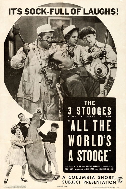 All the World's a Stooge (1941) poster