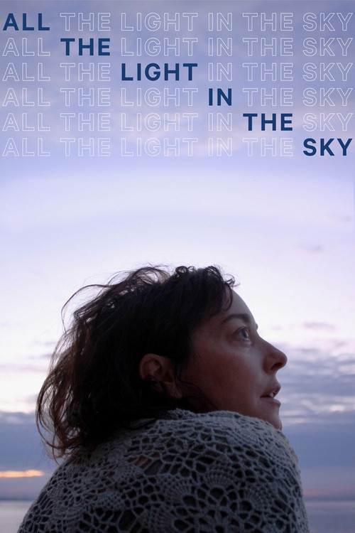 All the Light in the Sky (2013) poster