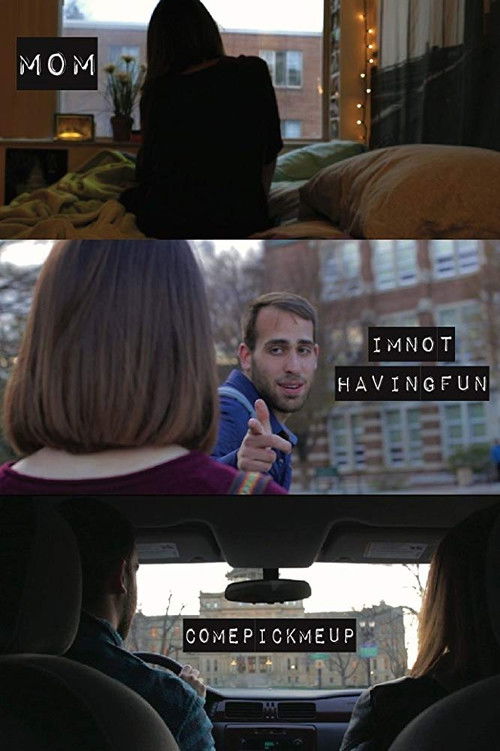 Mom I'm Not Having Fun Come Pick Me Up (2015) poster