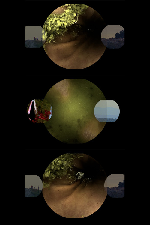 A Very Long Gif (2022) poster