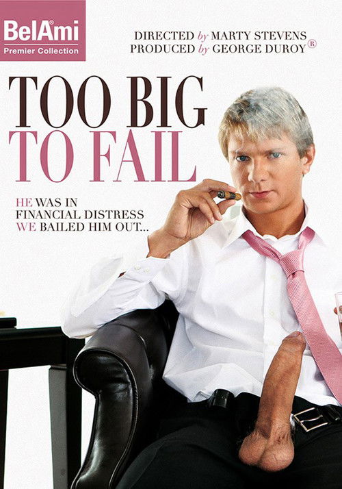 Too Big to Fail (2010) poster