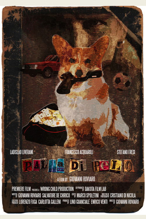 Palla di pelo (2021) poster