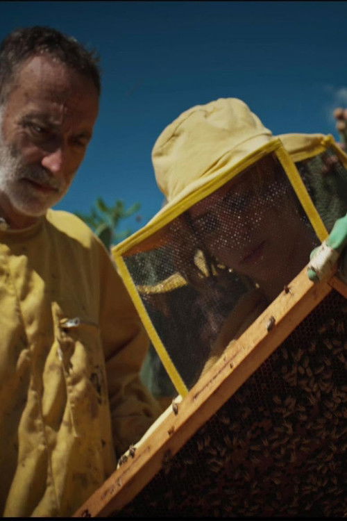 L'energia della creazione (2025) poster