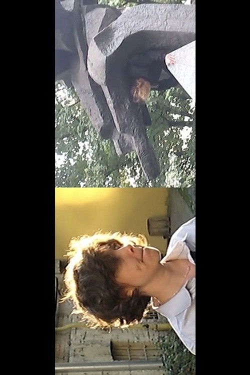 There Are No Monuments To Monuments (2021) poster