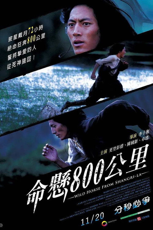 Wild Horse from Shangri-La (2009) poster
