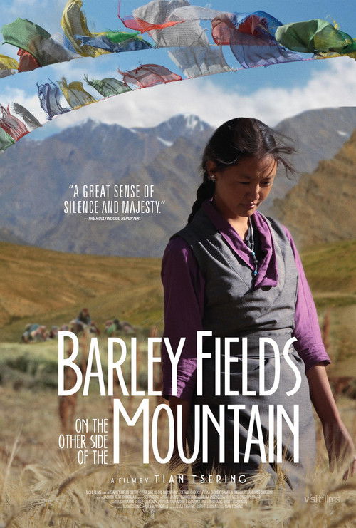 Barley Fields on the Other Side of the Mountain (2017) poster