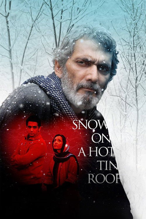 Snow on a Hot Tin Roof (2011) poster