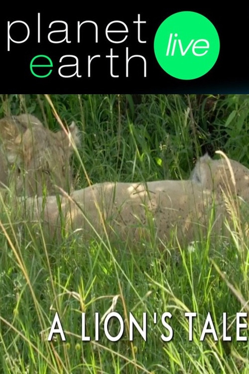 A Lion's Tale (2012) poster