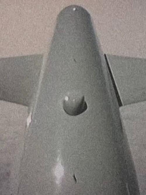 Flutter (2025) poster