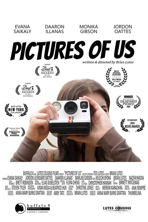Pictures of Us poster