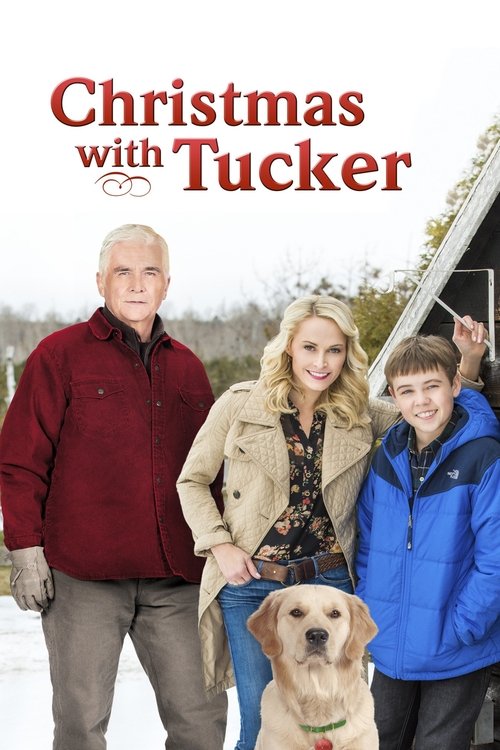 Christmas with Tucker (2013) poster