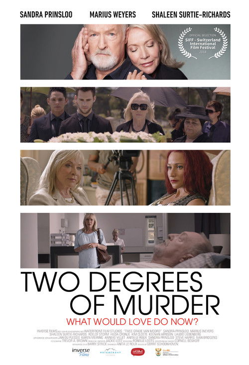 Two Degrees of Murder (2016) poster
