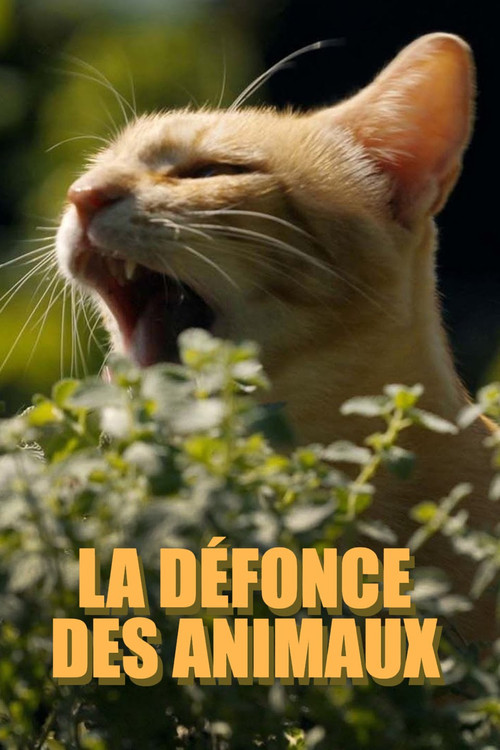 La défonce des animaux (2025) poster