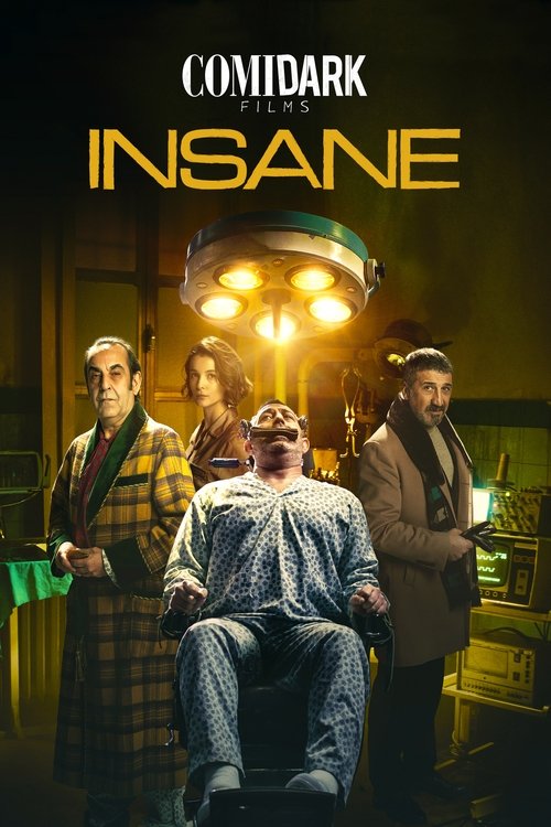 Comidark Films 2: Insane (2020) poster