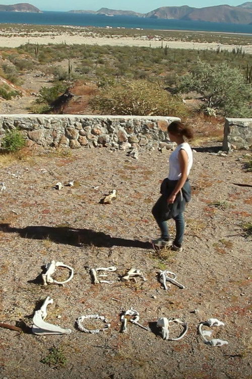 Dear Lorde (2015) poster