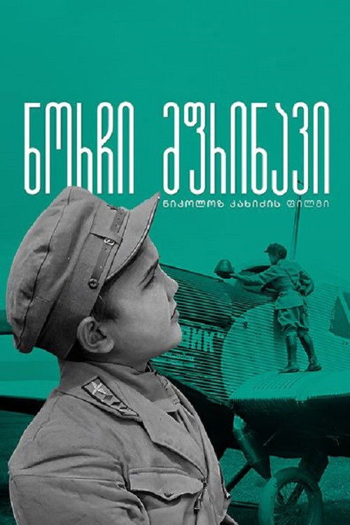 ნორჩი მფრინავი (1929) poster