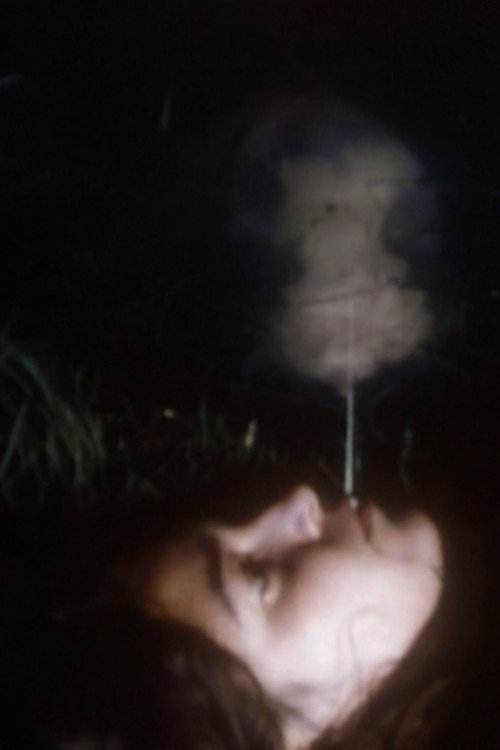 Swollen Stigma (1998) poster