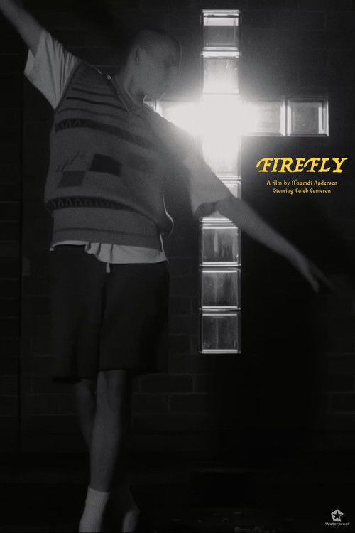 Firefly (2021) poster