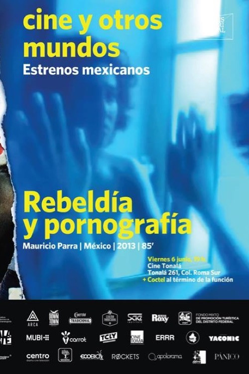 Rebeldía y pornografía (2014) poster