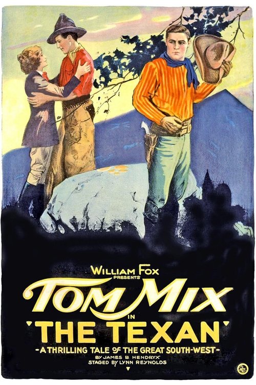 The Texan (1920) poster