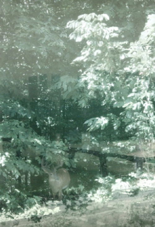 Weather, There (2019) poster