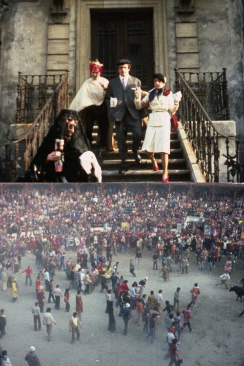 Fiesta (1976) poster