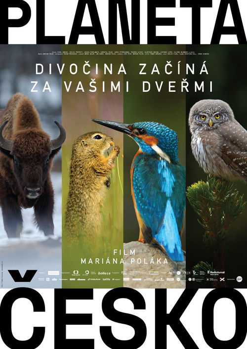 Wilder Than Wilderness (2018) poster