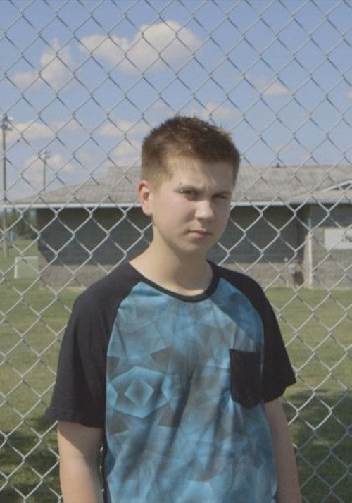 Handsome & Majestic (2016) poster