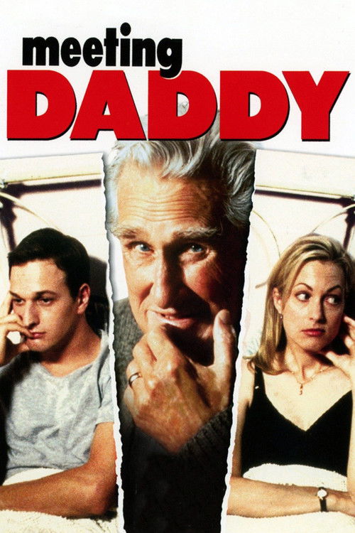 Meeting Daddy (2000) poster