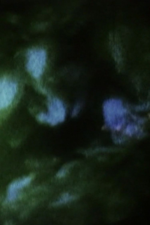 Field of Memories: Prelude (1994) poster