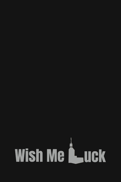Wish Me Luck (2024) poster