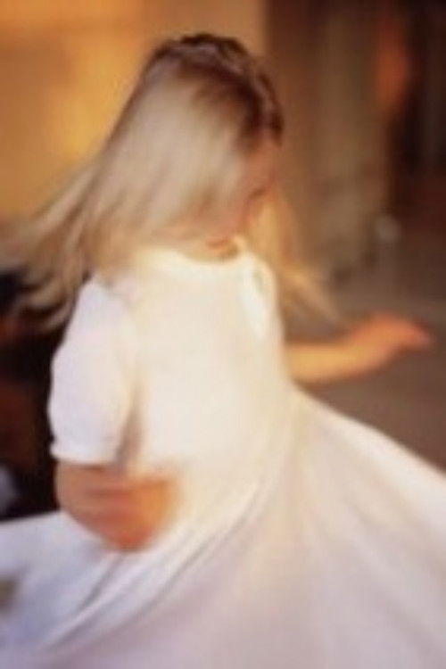 Fire Leap (2011) poster