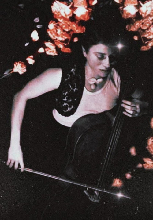 Gardens of the Sleeping Hermaphrodite (1985) poster