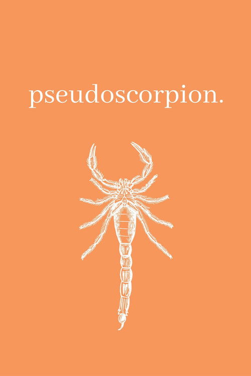Pseudoscorpion poster