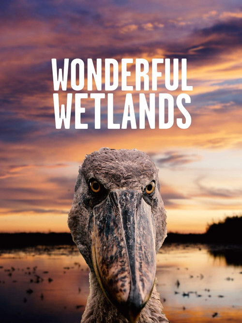 Wonderful Wetlands (2020) poster