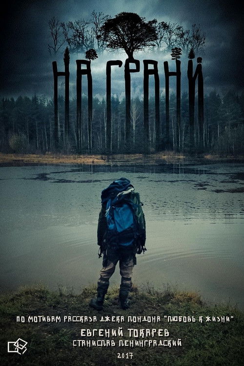 На грани (2017) poster