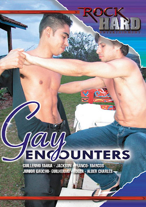 Gay Encounters (2011) poster