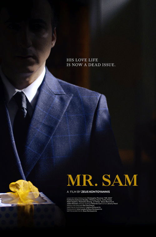 Mr. Sam (2019) poster
