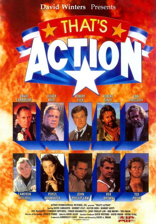 That's Action (1990) poster