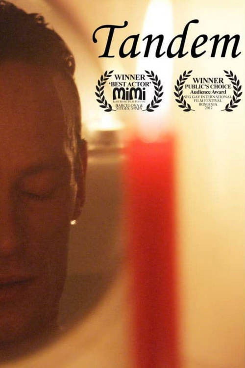 Tandem (2011) poster