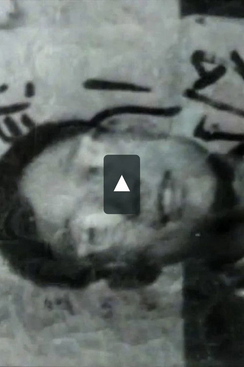 Chairman Mao - The Last Emperor (1993) poster