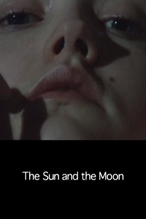 The Sun and the Moon (2008) poster